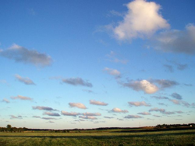 P7220060.JPG