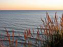 IMG_0571