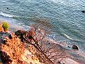 IMG_0575