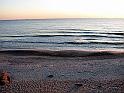 IMG_1223