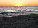 IMG_1393