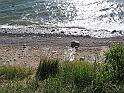 IMG_3190