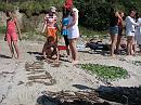 IMG_9289