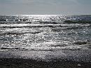 IMG_1272