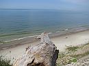 IMG_2918