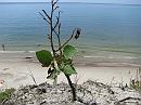 IMG_2924