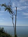 IMG_2926